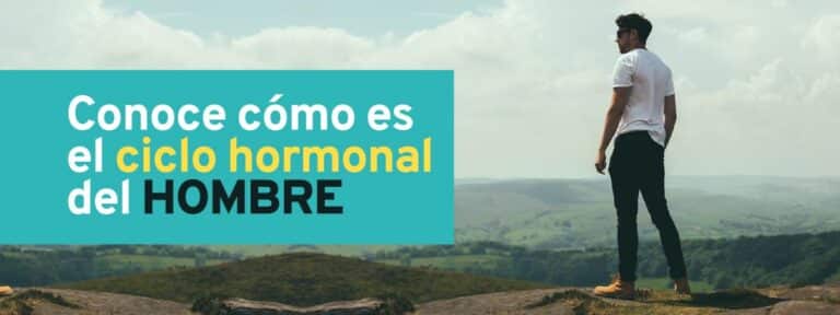 Cómo es el ciclo hormonal del hombre.