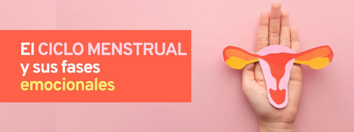 El Ciclo Menstrual y las Fases Emocionales